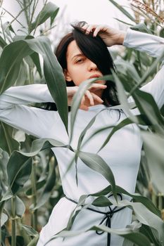 A brunette girl in a white dress in a cornfield. The concept of harvesting.