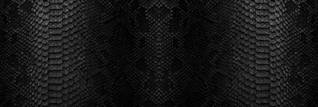 Snake skin background. Close up reptile texture.