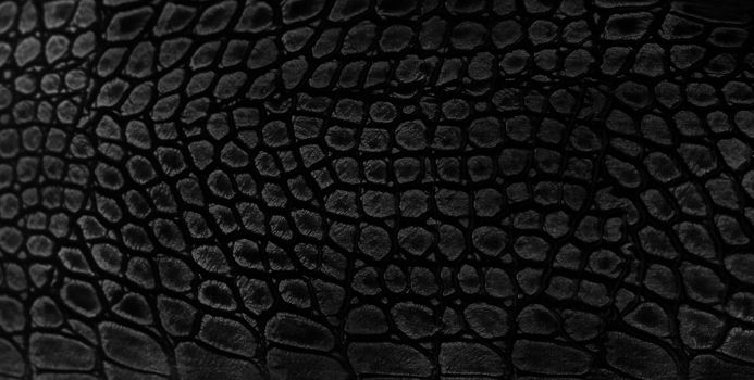 Snake skin background. Close up.