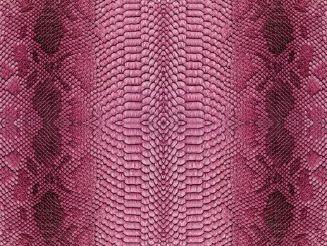 Snake skin background. Close up reptile texture.