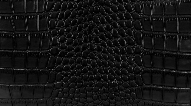 Snake skin background. Close up.