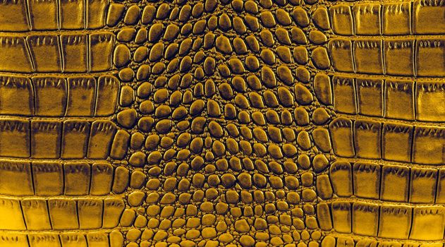 Snake skin background. Close up
