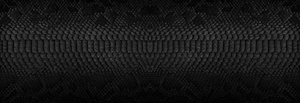 Snake skin background. Close up reptile texture.