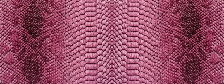 Snake skin background. Close up reptile texture.