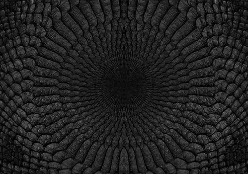 Snake skin background. Close up reptile texture.
