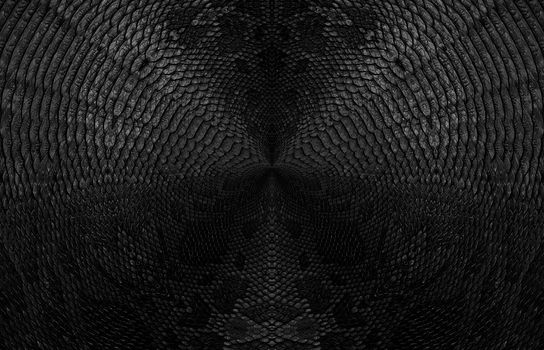 Snake skin background. Close up reptile texture.