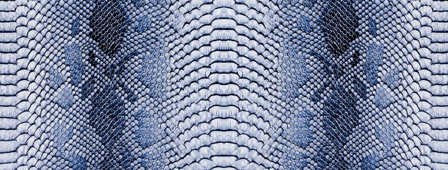 Snake skin background. Close up reptile texture.