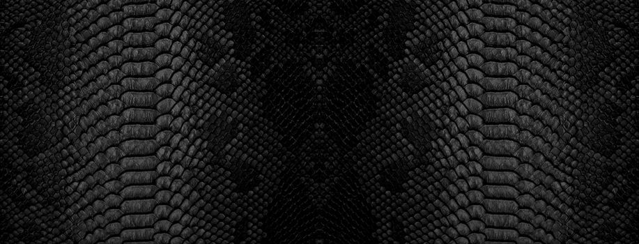 Snake skin background. Close up reptile texture.
