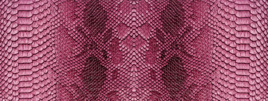 Snake skin background. Close up reptile texture.