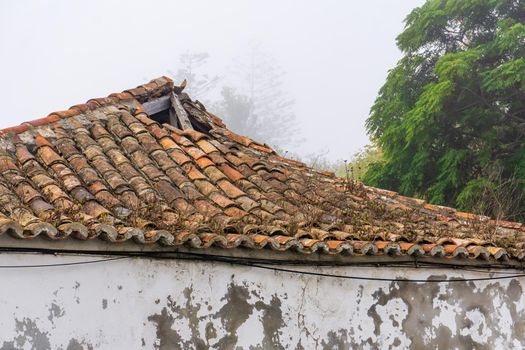 Abandoned village house with white walls and an old red-tiled roof