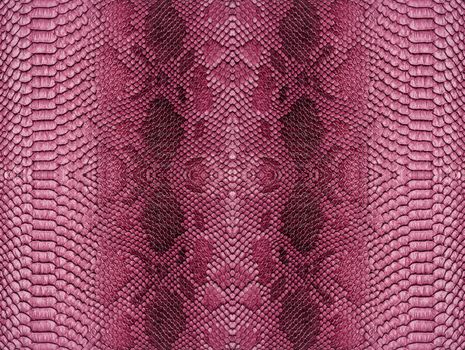 Snake skin background. Close up reptile texture.
