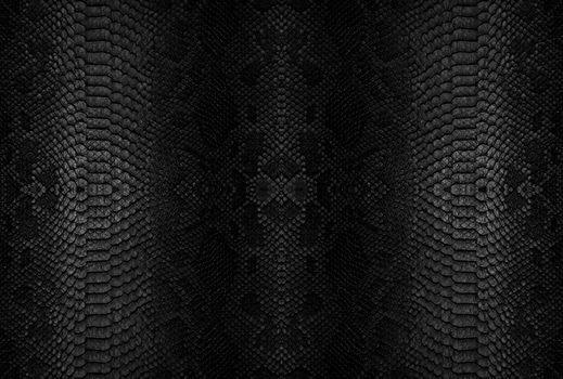 Snake skin background. Close up reptile texture.