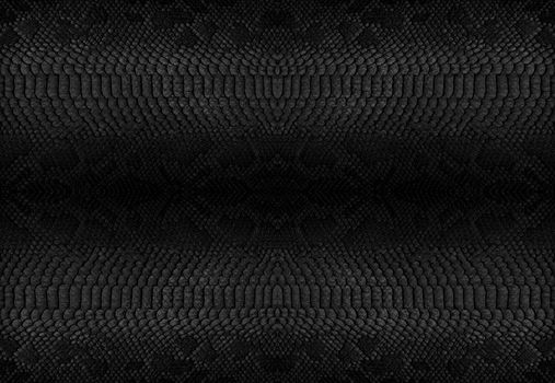 Snake skin background. Close up reptile texture.