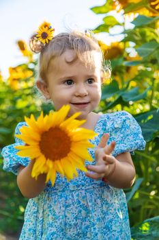 A child in a field of sunflowers. Ukraine. Selective focus. Nature.