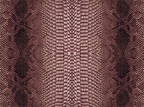 Snake skin background. Close up reptile texture.