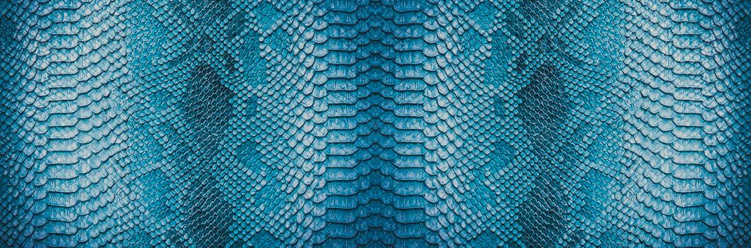 Snake skin background. Close up reptile texture.