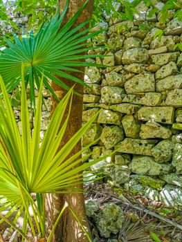 Ancient Tulum ruins Mayan site with temple ruins pyramids and artifacts in the tropical natural jungle forest palm and seascape panorama view in Tulum Mexico.