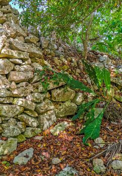 Ancient Tulum ruins Mayan site with temple ruins pyramids and artifacts in the tropical natural jungle forest palm and seascape panorama view in Tulum Mexico.