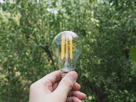 modern energy saving led bulb against green leaves