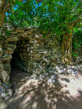 Ancient Tulum ruins Mayan site with temple ruins pyramids and artifacts in the tropical natural jungle forest palm and seascape panorama view in Tulum Mexico.