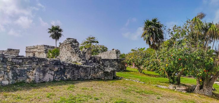 Ancient Tulum ruins Mayan site with temple ruins pyramids and artifacts in the tropical natural jungle forest palm and seascape panorama view in Tulum Mexico.