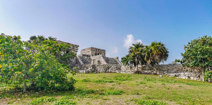 Ancient Tulum ruins Mayan site with temple ruins pyramids and artifacts in the tropical natural jungle forest palm and seascape panorama view in Tulum Mexico.