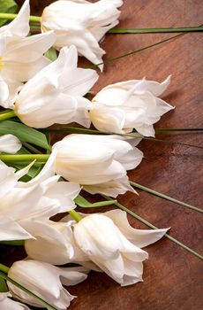 Bouquet of white tulips on old wooden boards