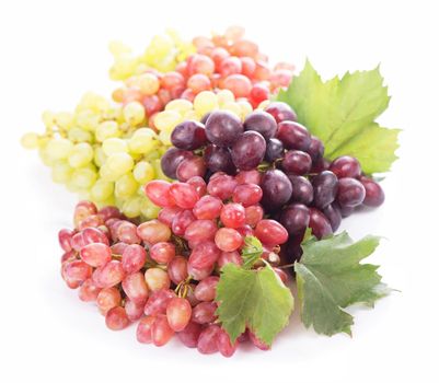 Red and white grapes, wine grapes.