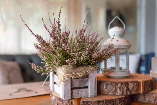 Basket with Heather on the table in the snow-covered garden