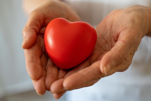 Grandmother woman hands holding red heart, healthcare, love, organ donation, mindfulness, wellbeing, family insurance and CSR concept, world heart day, world health day, national organ donor day.