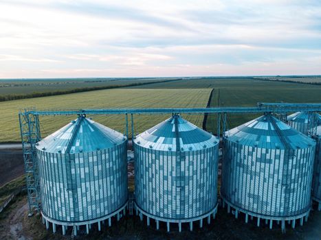 Grain elevator. Metal grain elevator in agricultural zone. Agriculture storage for harvest. Grain silos on green nature background. Exterior of agricultural factory