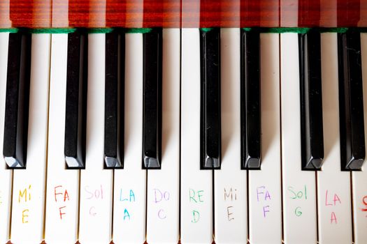close-up, top view, piano keys Piano notes were drawn on the white keys with a felt-tip pen to teach children music. The concept of teaching music at school, the correct position of the hand