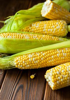Fresh sweet corn with leaves on cobs on wooden table, closeup, top view. Fresh yellow corns ears with leaves. Ears of freshly harvested yellow sweet corn on wooden table.