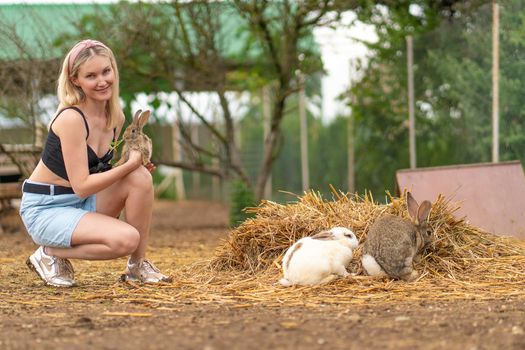 Girl feeds parsley rabbit easter brown bunny white fluffy garden, from cute young for pet from summer grass, wild bright. Funny isolated,
