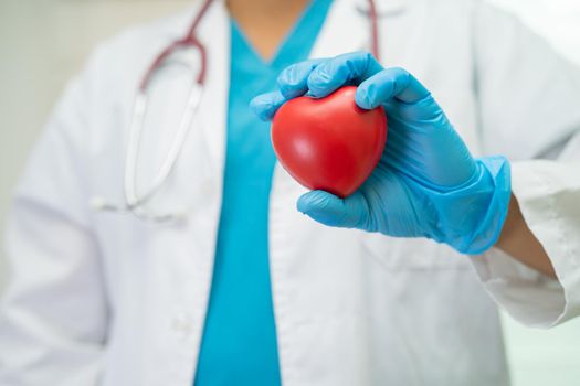 Doctor holding a red heart in hospital ward, healthy strong medical concept.