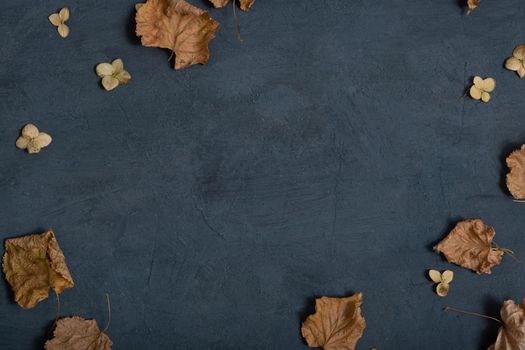 Dried autumn or winter leaves on dark textured concrete background with copy space. High quality photo