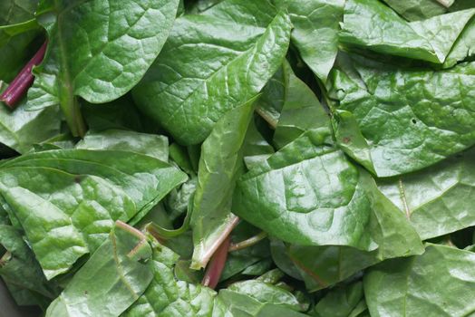 Fresh spinach leaves on table