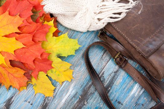 Autumn background from maple leaves, a sweater and a bag.