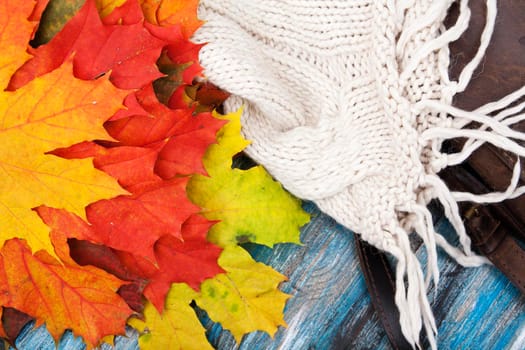 Autumn background of maple leaves, sweaters and bags