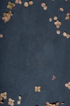 Dried autumn or winter leaves on dark textured concrete background with copy space. High quality vertical photo