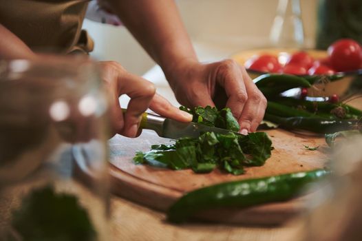 Detail: Hands of a housewife in beige chef's apron chopping fresh fragrant culinary herbs on a wooden cutting board while preparing a pickle marinade for pickling chili in the kitchen. homemade food