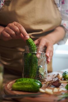 Close-up of a woman, housewife in beige chef's apron, makes pickled cucumbers at home kitchen. Homemade conservation of organic harvested seasonal vegetables. Pickling. Canning. Marinating