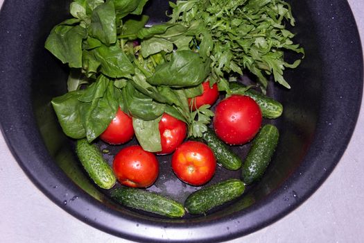 Spinach, arugula, cucumbers, tomatoes, basil collected at their dacha are washed in a black sink for cooking delicious and fragrant dishes...