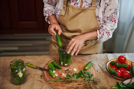 Woman's hands, stuffing cucumbers and umbrella dill into a pickling jar as she prepares homemade pickles. Pickled vegetables in can for canning. Preparation for pickling cucumbers. Preservation.