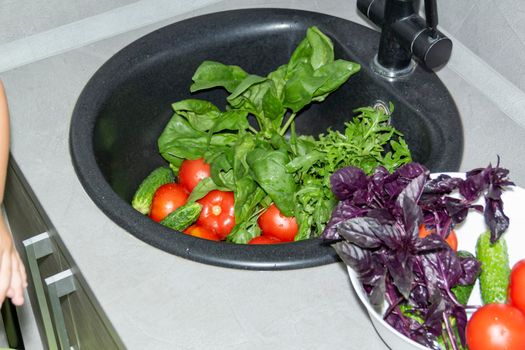 Spinach, arugula, cucumbers, tomatoes, basil collected at their dacha are washed in a black sink for cooking delicious and fragrant dishes...