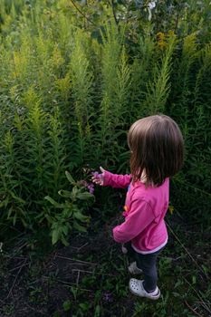 A small girl in pink t-shirt looking at green plants. High quality photo