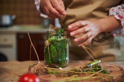 Close-up of woman in chef's apron adding fragrant culinary herb in a glass jar while preparing homemade pickled cucumbers for the winter. Concept of making homemade pickles for winter. Canning food