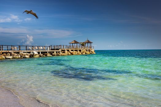 Pelican flying over idyllic caribbean beach with pier and gazebo, Montego Bay, Jamaica