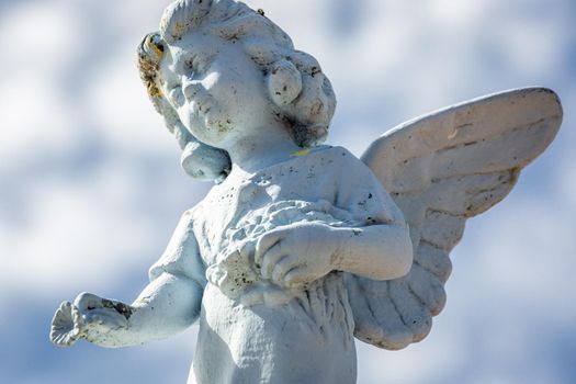 Seraphim angel praying with flower for forgiveness and hope of better days to come