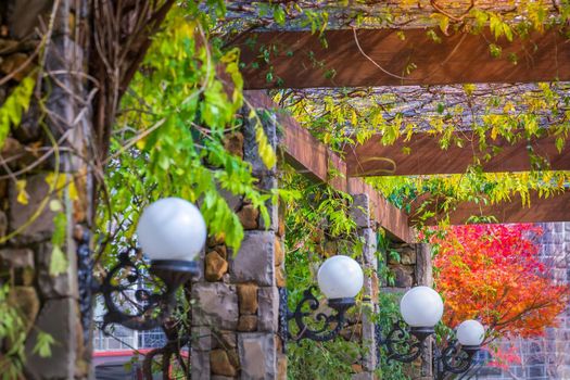 Autumn landscape with red tree in Gramado covered street and lamps pattern, rio Grande do Sul, Brazil